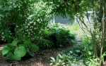 shade_gardens_3.jpg
